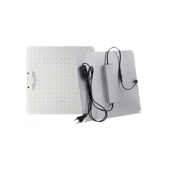 Led Quantum Board  65w